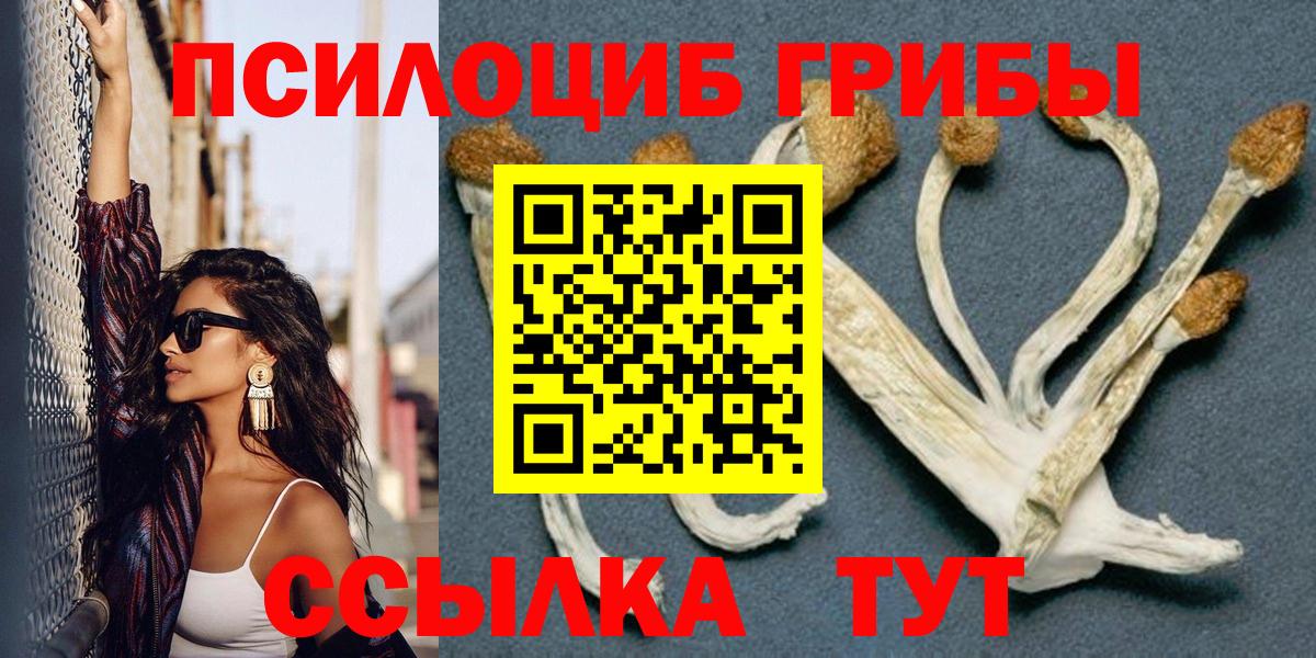 Псилоцибиновые грибы Psilocybine cubensis  Псилоцибиновые грибы прущие грибы  Саянск  Вход с VPN 