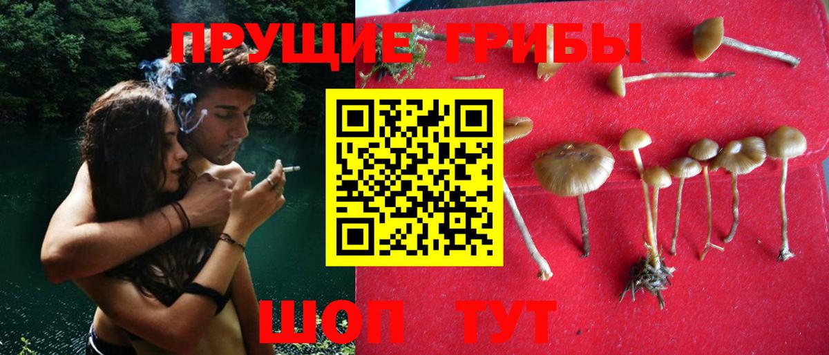Псилоцибиновые грибы Magic Shrooms Саянск